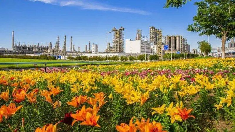 农药化工产品代理怎么选？合规与品质是关键