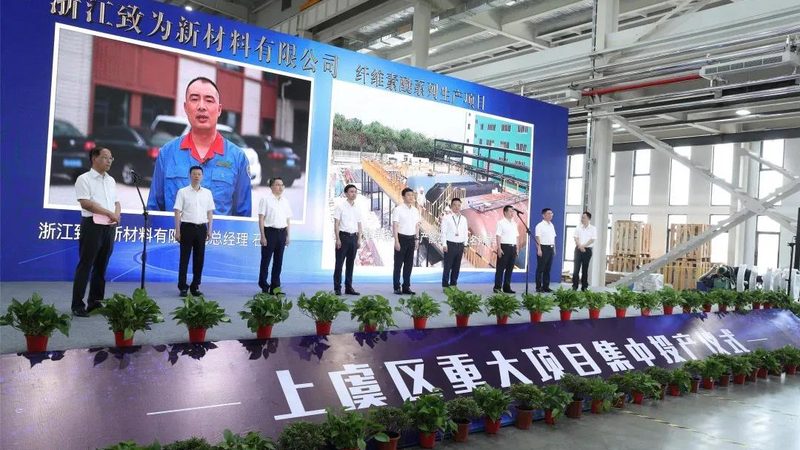 工业添加剂定制的利与弊：深度解析